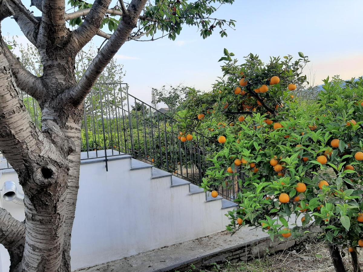 Zagara Villa Mascali Exteriör bild